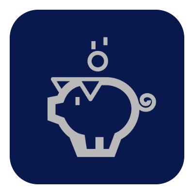 Public finance - piggy bank icon